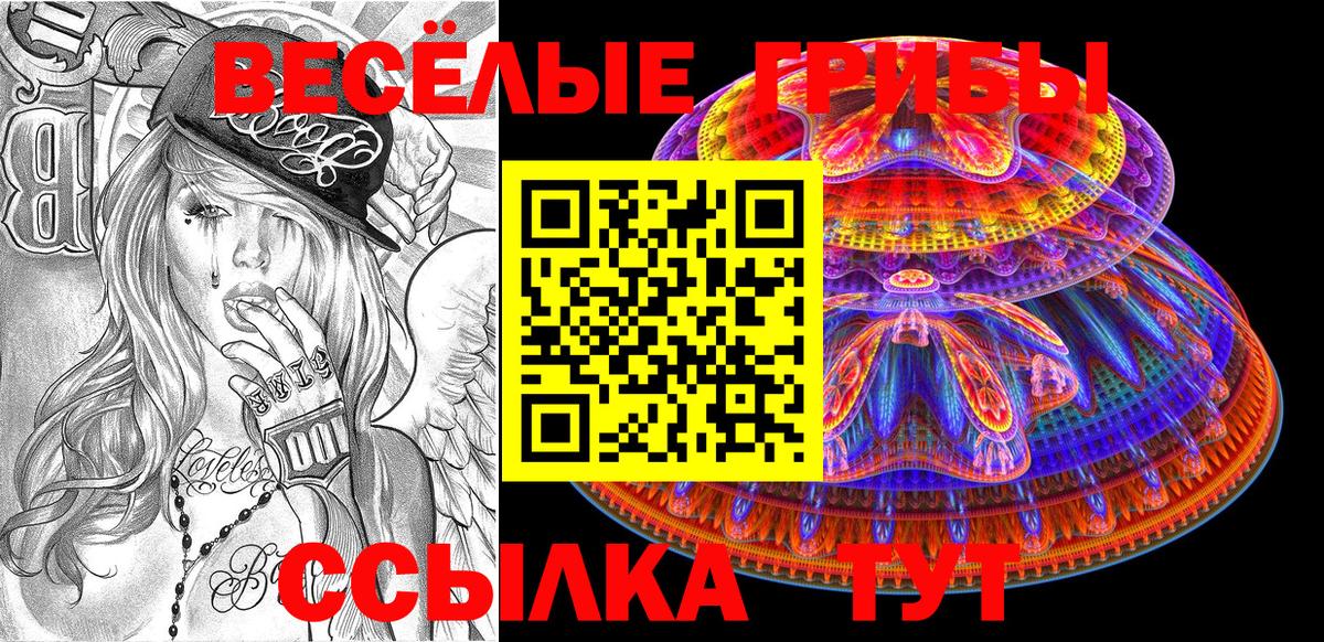 Мегион  Псилоцибиновые грибы MAGIC MUSHROOMS  Вход с VPN 